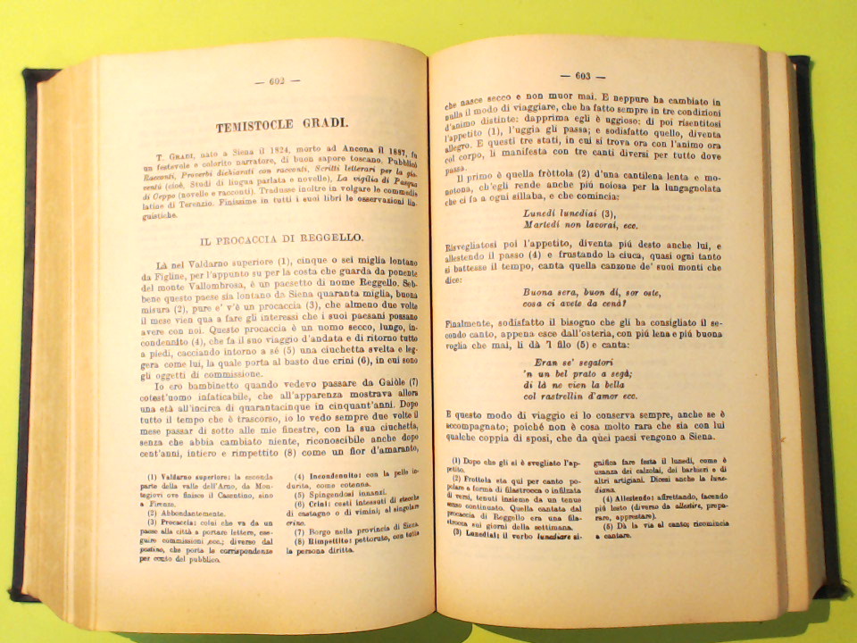 SCRITTORI DELL'OTTOCENTO E DEL PRIMO NOVECENTO - immagine 3