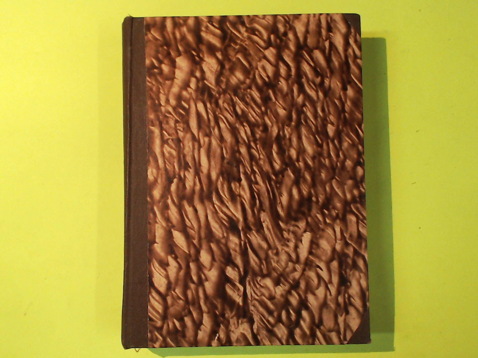 UN CAVALIERE APOSTOLO