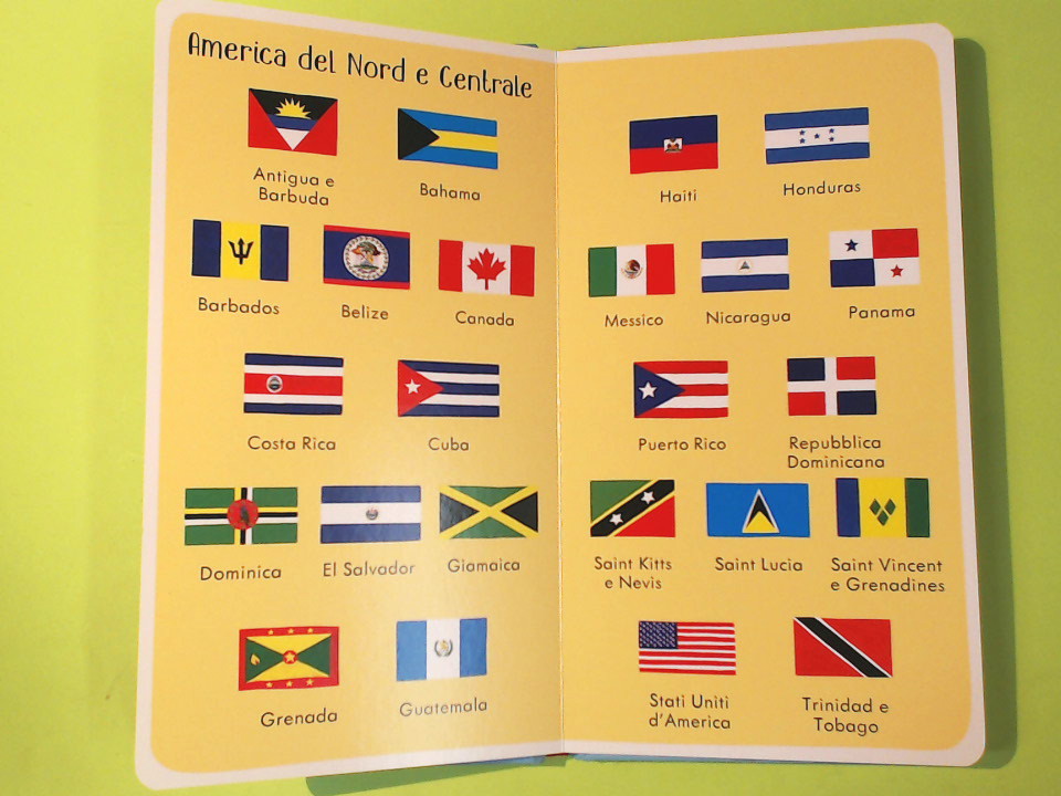 199 BANDIERE - immagine 2