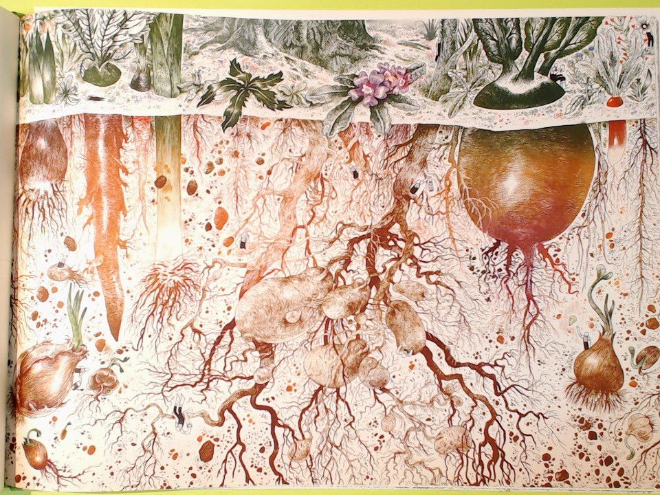 UN GRANDE GIARDINO - immagine 3