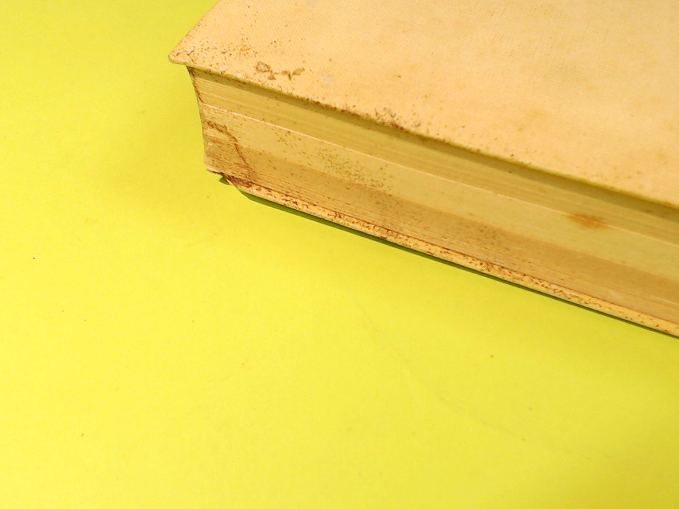 ENCICLOPEDIA DI PSICOLOGIA 2 - immagine 4