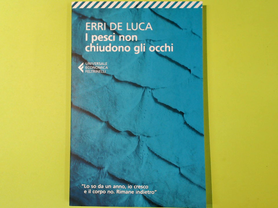 I PESCI NON CHIUDONO GLI OCCHI