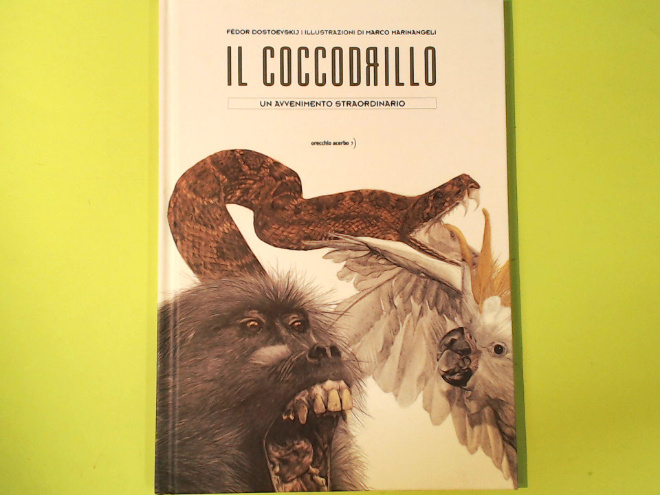 IL COCCODRILLO
