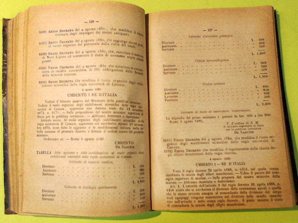 COLLEZIONE DELLE LEGGI ED ATTI DEL GOVERNO DEL REGNO D'ITALIA 1880 - immagine 5