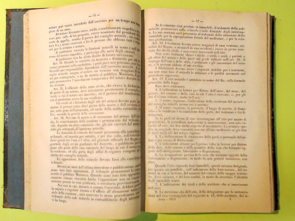 COLLEZIONE DELLE LEGGI ED ATTI DEL GOVERNO DEL REGNO D'ITALIA 1879 - immagine 5