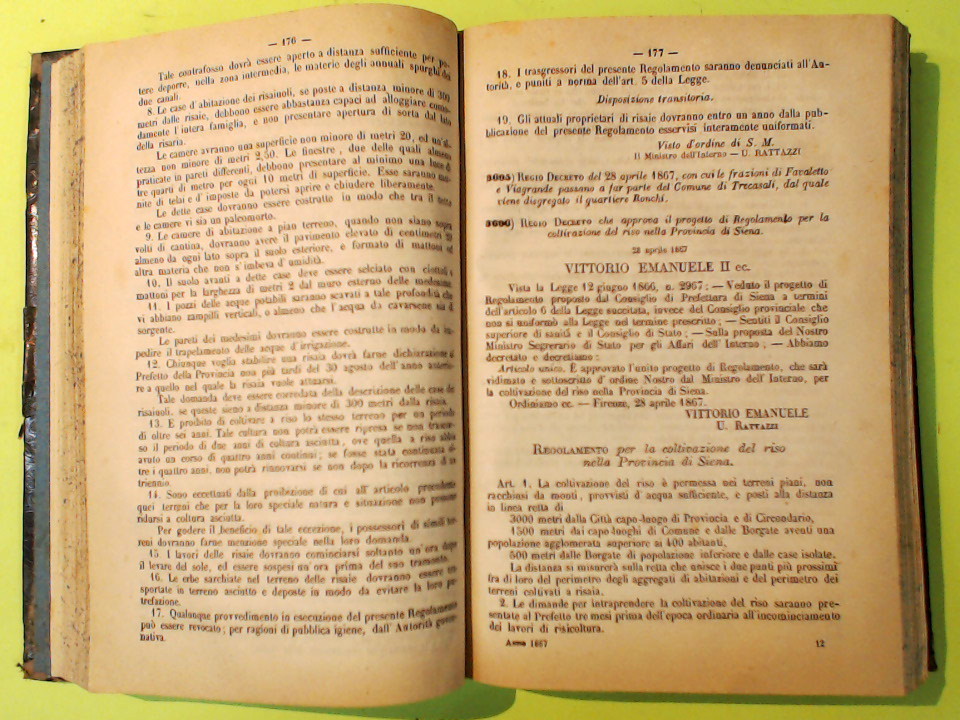 COLLEZIONE DELLE LEGGI ED ATTI DEL GOVERNO DEL REGNO D'ITALIA 1867 - immagine 6