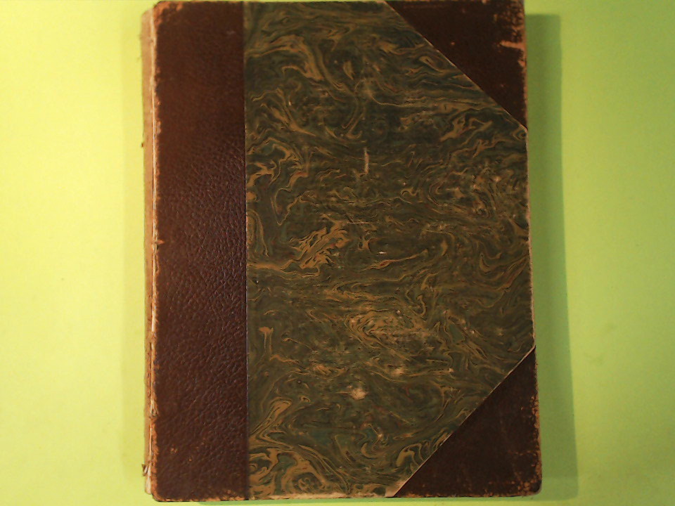 LA PEINTURE AU XIX SIECLE BENEDITE FLAMMARION