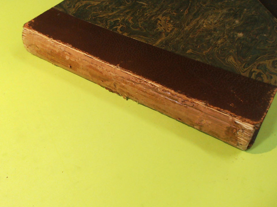 LA PEINTURE AU XIX SIECLE BENEDITE FLAMMARION - immagine 6