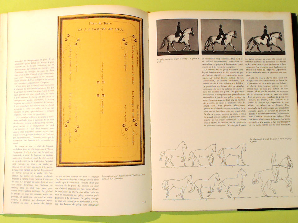 LA HAUTE ECOLE ESPAGNOLE DE VIENNE - immagine 4