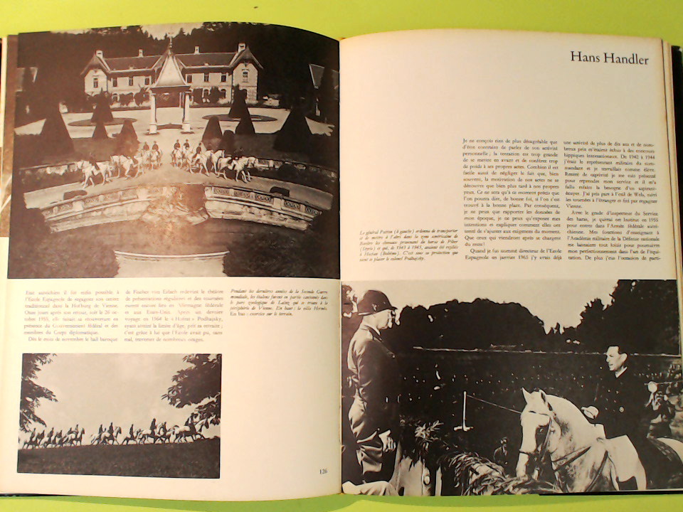 LA HAUTE ECOLE ESPAGNOLE DE VIENNE - immagine 5