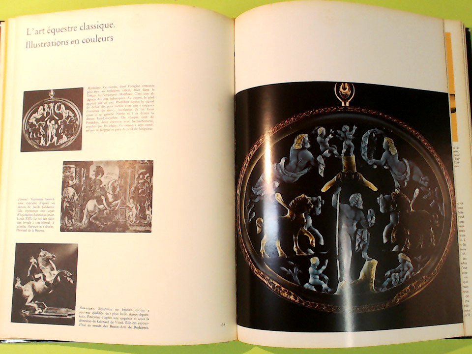 LA HAUTE ECOLE ESPAGNOLE DE VIENNE - immagine 6