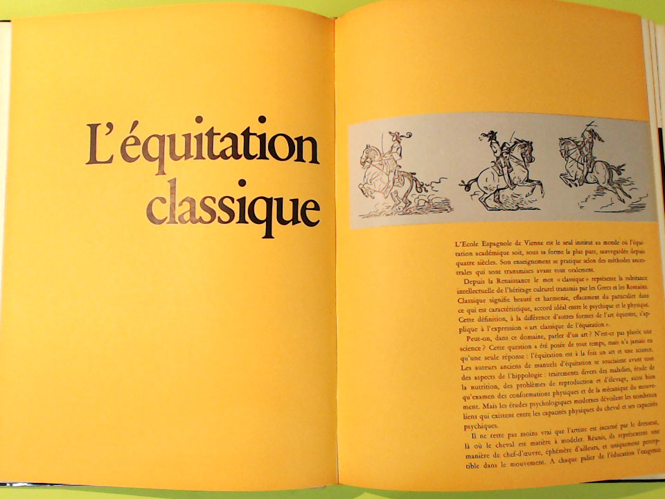 LA HAUTE ECOLE ESPAGNOLE DE VIENNE - immagine 2