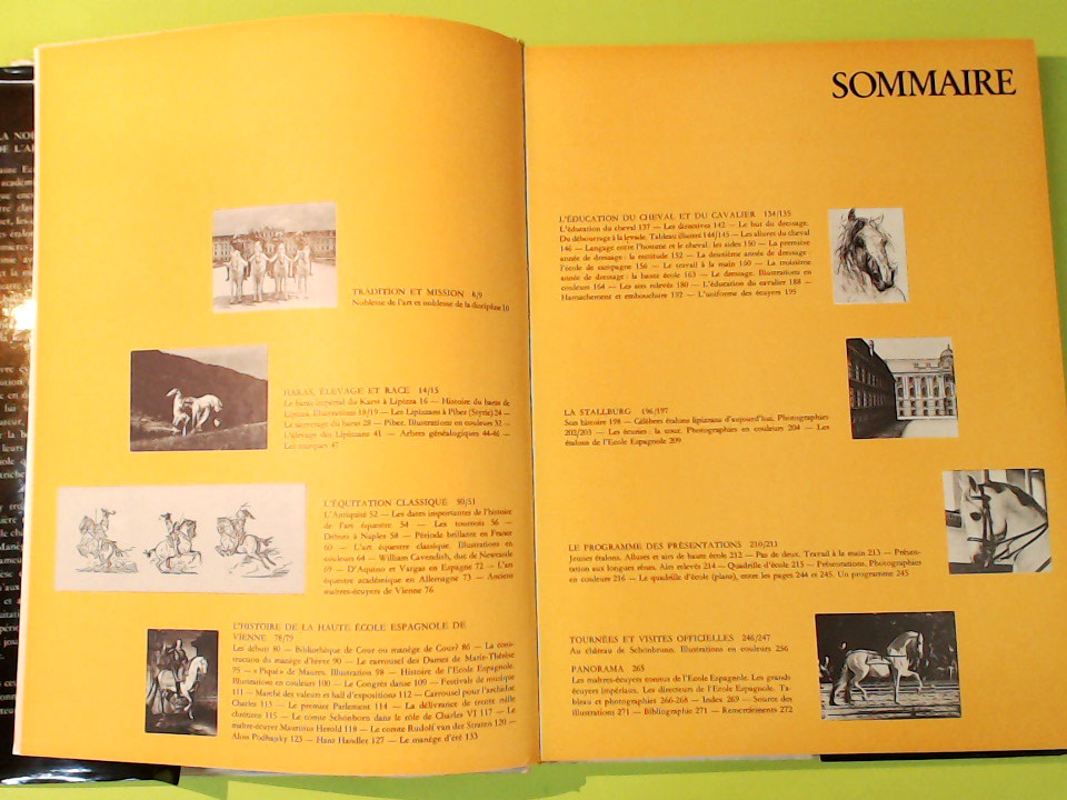 LA HAUTE ECOLE ESPAGNOLE DE VIENNE - immagine 7