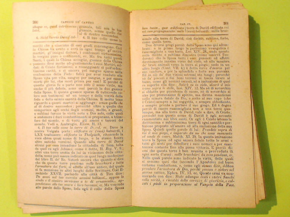 LA SACRA BIBBIA TESTAMENTO VECCHIO VOL VI - immagine 3