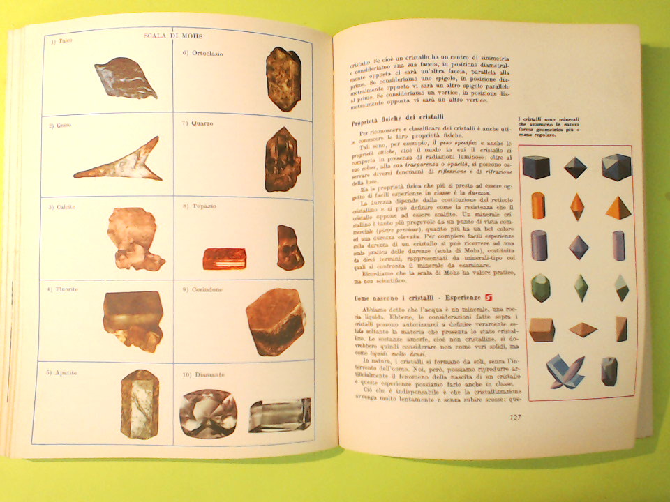 NEL MONDO MERAVIGLIOSO DELLA NATURA - immagine 3