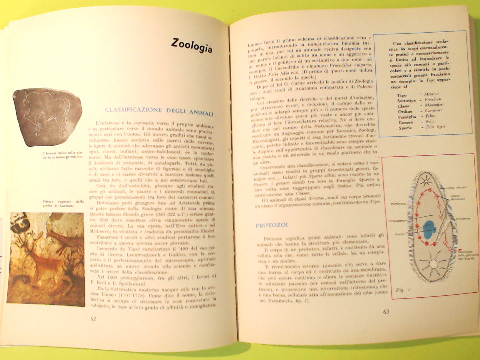 NEL MONDO MERAVIGLIOSO DELLA NATURA - immagine 2