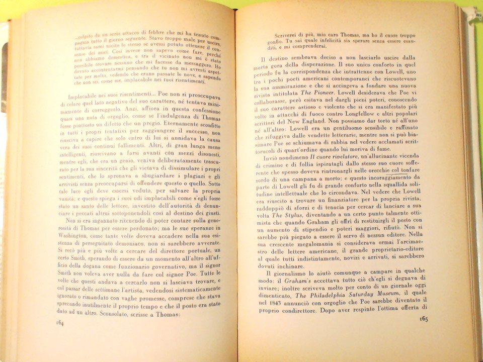 EDGAR ALLAN POE - immagine 6