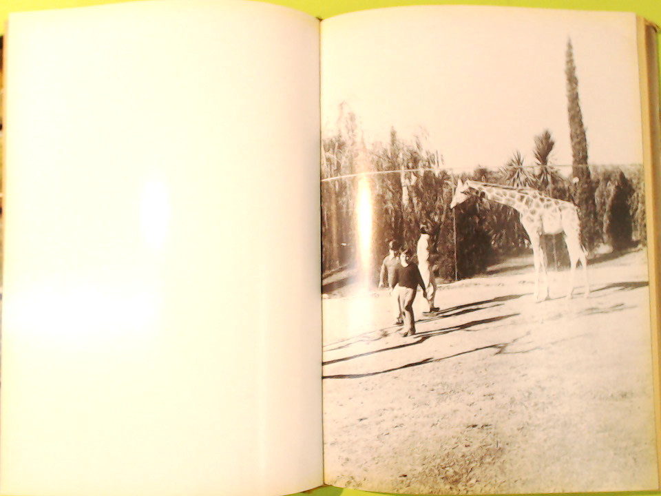 AMICI DI VIAGGI - immagine 3