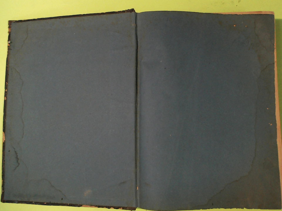 CODICE PENALE PER IL REGNO D'ITALIA VERBALI - immagine 5