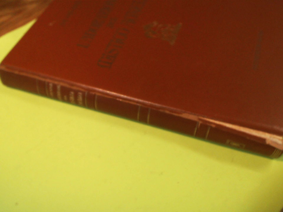 L'ADORAZIONE DEL MISTICO AGNELLO - immagine 7