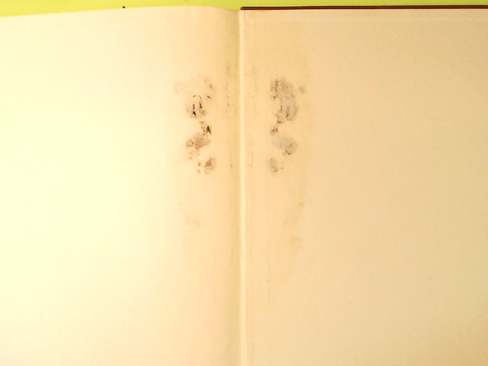 L'ADORAZIONE DEL MISTICO AGNELLO - immagine 9