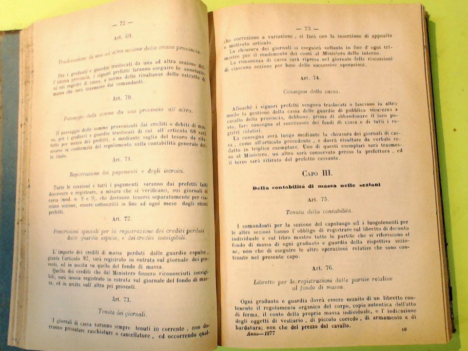 COLLEZIONE DELLE LEGGI ED ATTI DEL GOVERNO DEL REGNO D'ITALIA 1877 - immagine 3