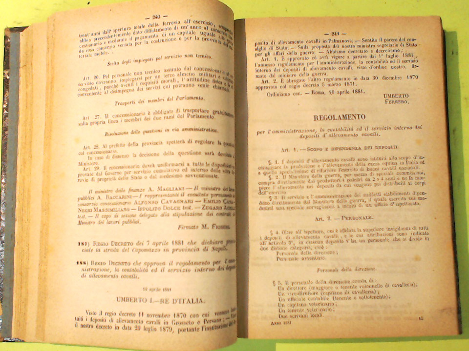 COLLEZIONE DELLE LEGGI ED ATTI DEL GOVERNO DEL REGNO D'ITALIA 1881 - immagine 6