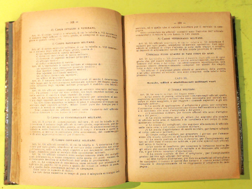 COLLEZIONE DELLE LEGGI ED ATTI DEL GOVERNO DEL REGNO D'ITALIA 1887 - immagine 3
