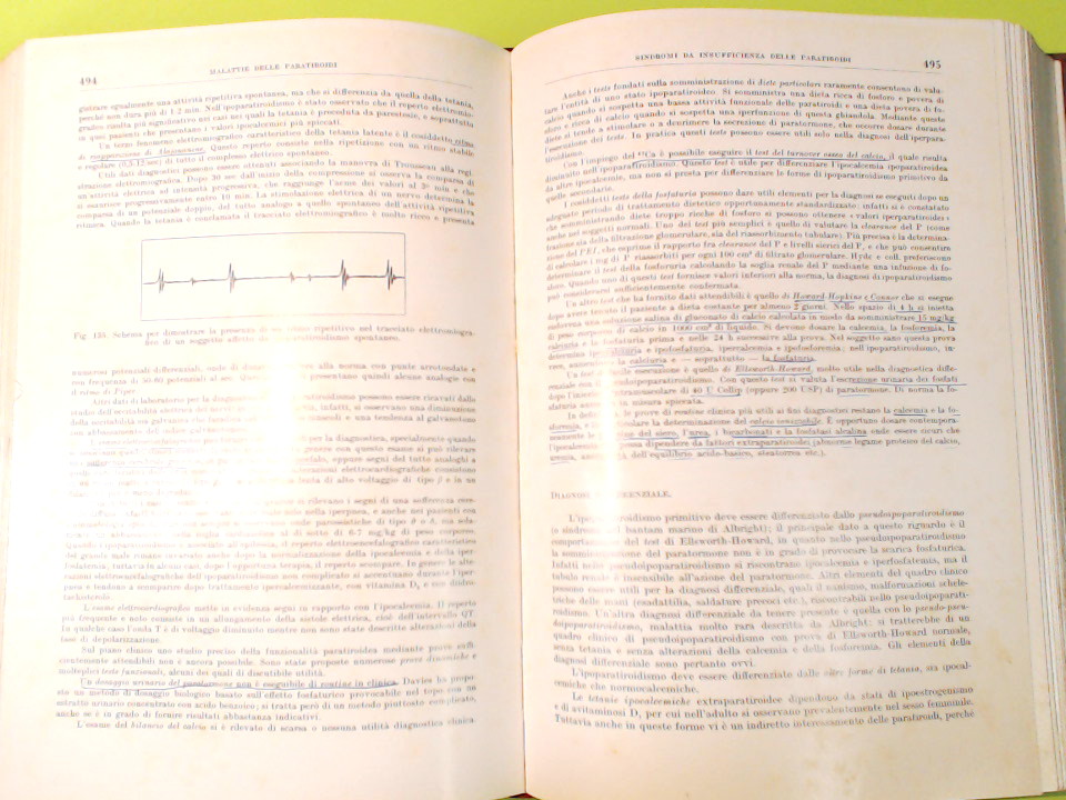 TRATTATO ITALIANO DI MEDICINA INTERNA - immagine 2