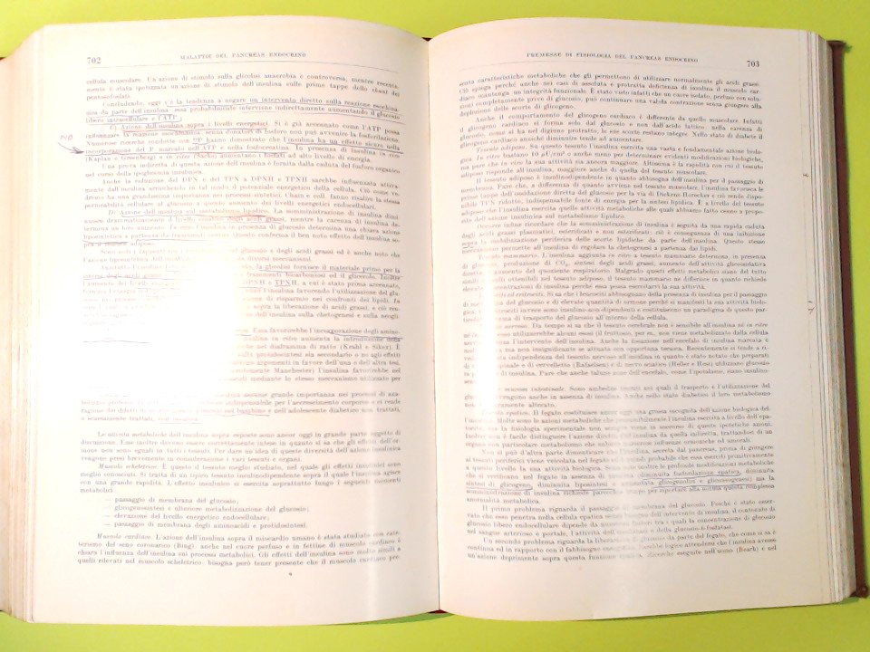 TRATTATO ITALIANO DI MEDICINA INTERNA - immagine 3