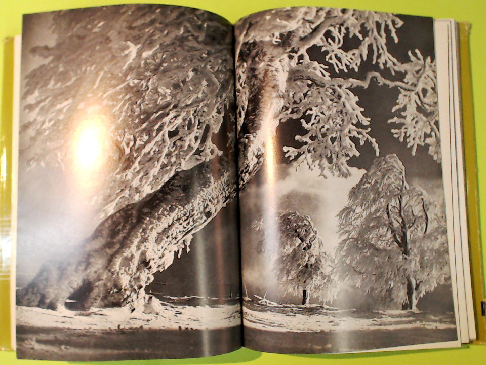 IL LIBRO ROLLEI - immagine 8