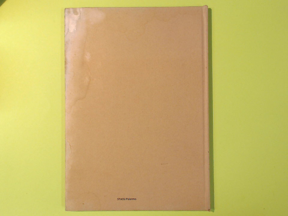 LA MUSICA DEI VANNIATURI - immagine 2