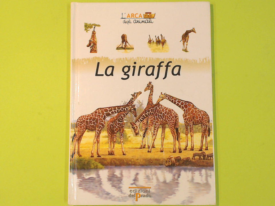 LA GIRAFFA
