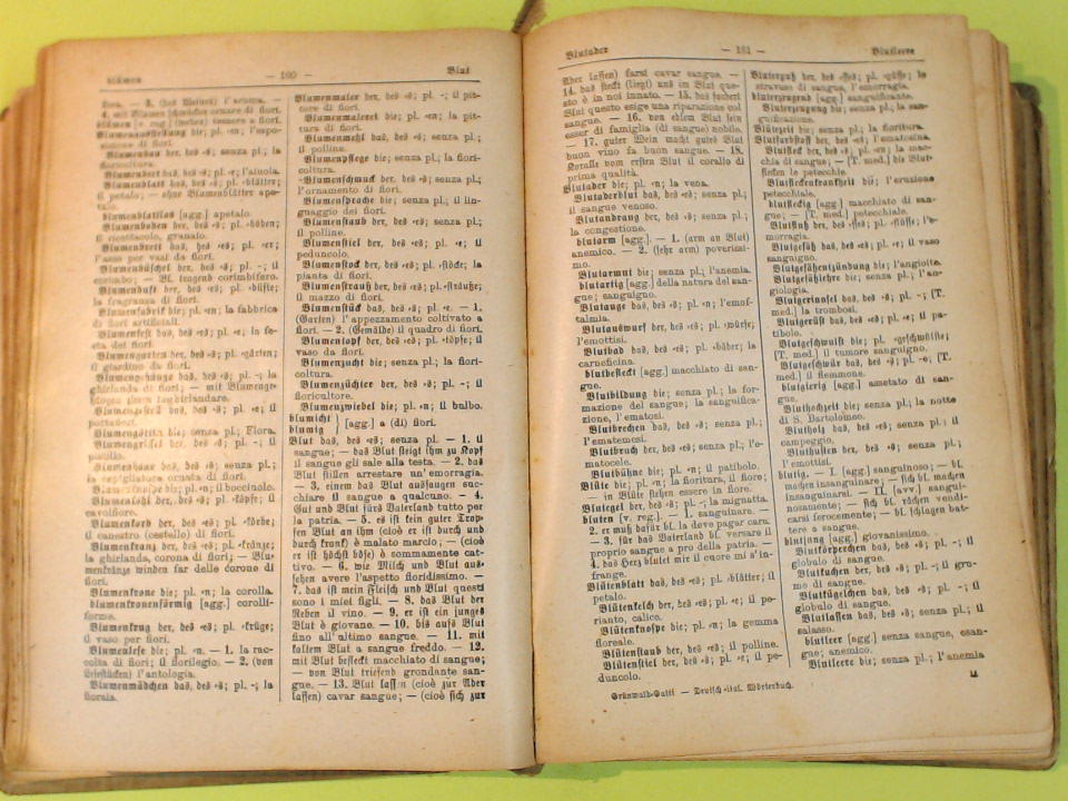 VOCABOLARIO DELLE LINGUE ITALIANA E TEDESCA - immagine 4