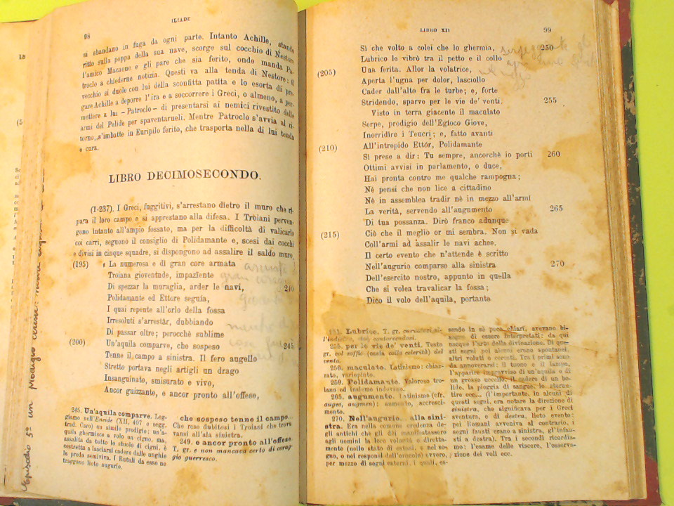 IL FIORE DELL'ILIADE E DELL'ODISSEA - immagine 4