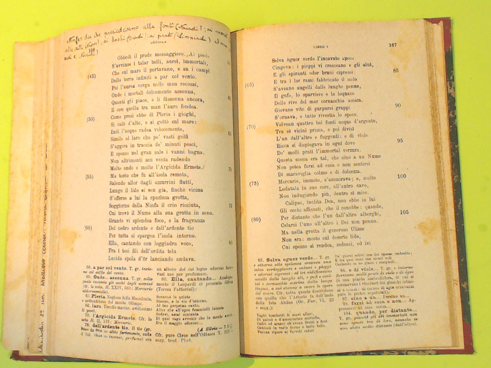 IL FIORE DELL'ILIADE E DELL'ODISSEA - immagine 3