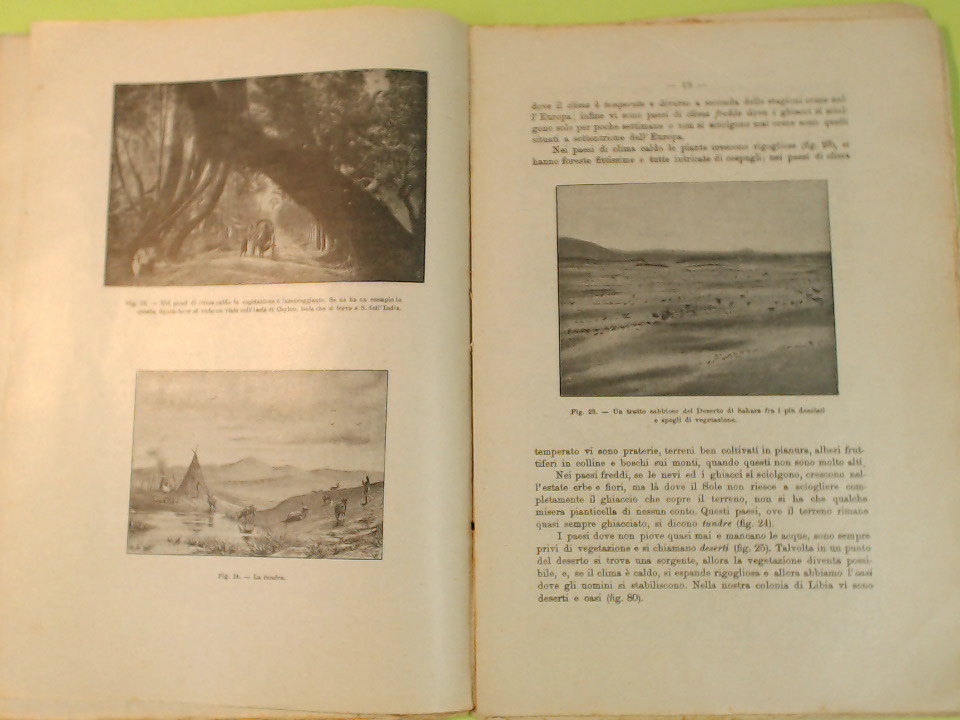 ALBO GEOGRAFICO E LETTURE DI GEOGRAFIA - immagine 2