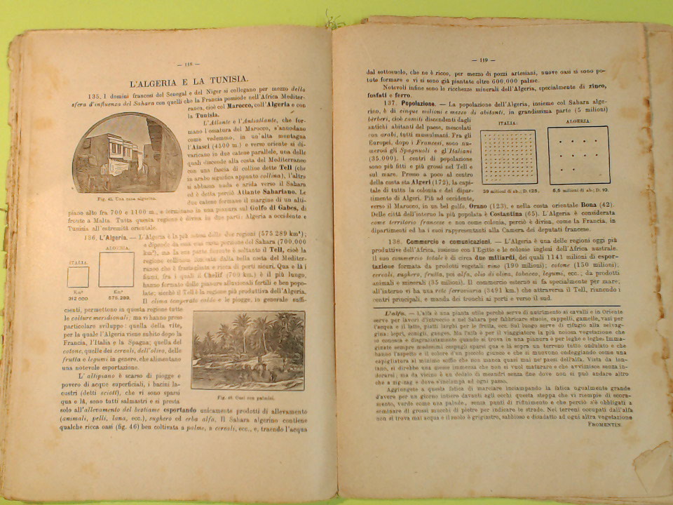 ELEMENTI DI GEOGRAFIA I CONTINENTI EXTRAEUROPEI - immagine 4