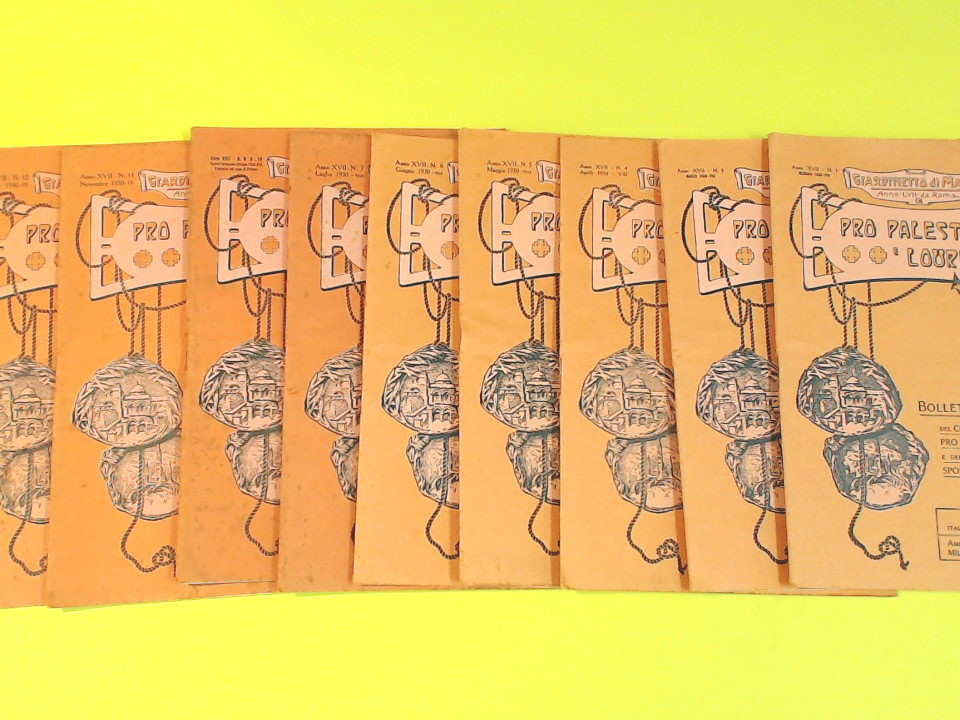 PRO PALESTINA LOURDES