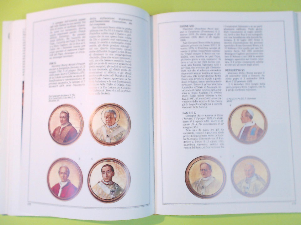 DON BOSCO NEL MONDO - immagine 2