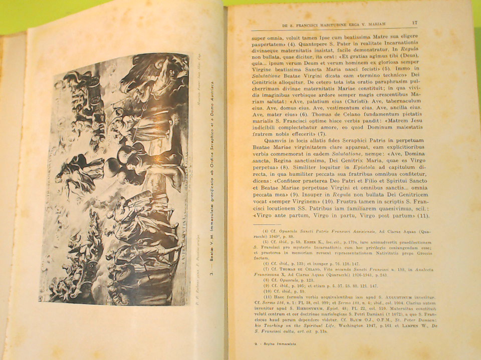 REGINA IMMACULATA - immagine 3