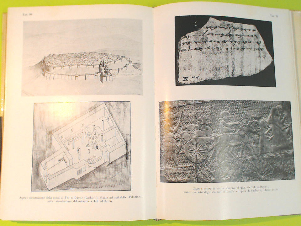 IL MONDO DELLA BIBBIA - immagine 3