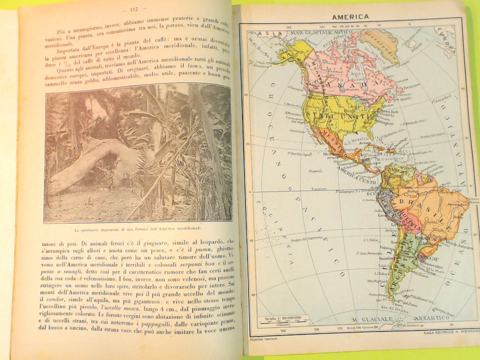 COLLEZIONE SCOLASTICA MONDADORI PER LA CLASSE QUINTA - immagine 4