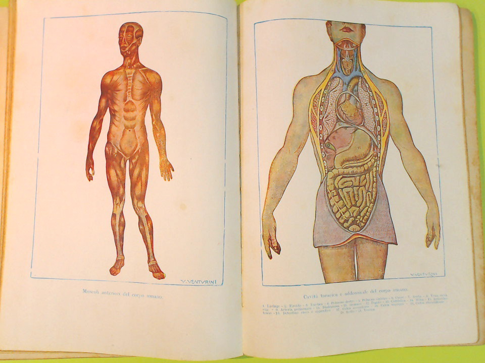 COLLEZIONE SCOLASTICA MONDADORI PER LA CLASSE QUINTA - immagine 5