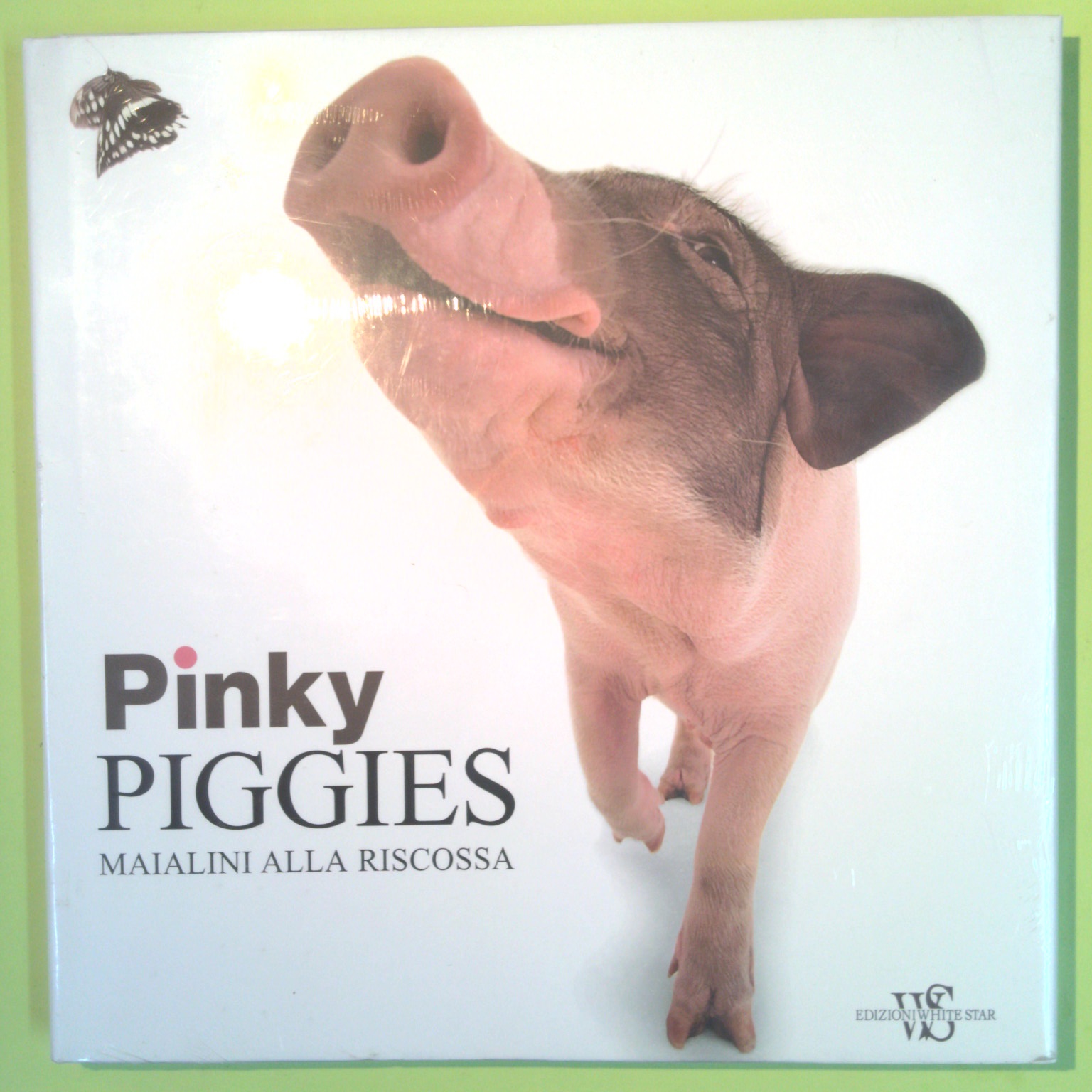 PINKY PIGGIES MAIALINI ALLA RISCOSSA