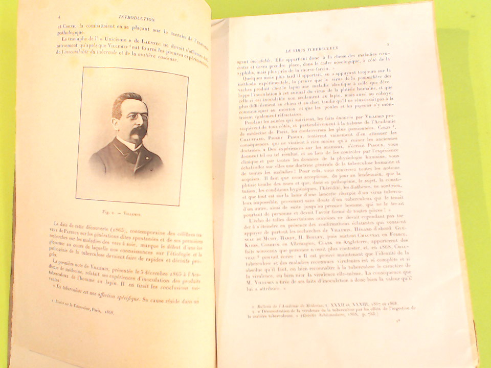 L'INFECTION BACILLAIRE ET LA TUBERCULOSE - immagine 2