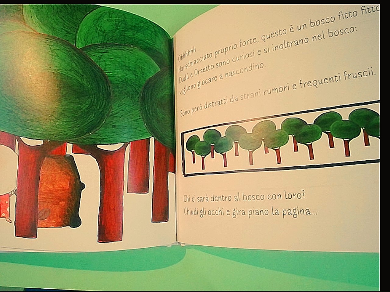 AD OGNI BIMBO IL SUO DUDÙ - immagine 2