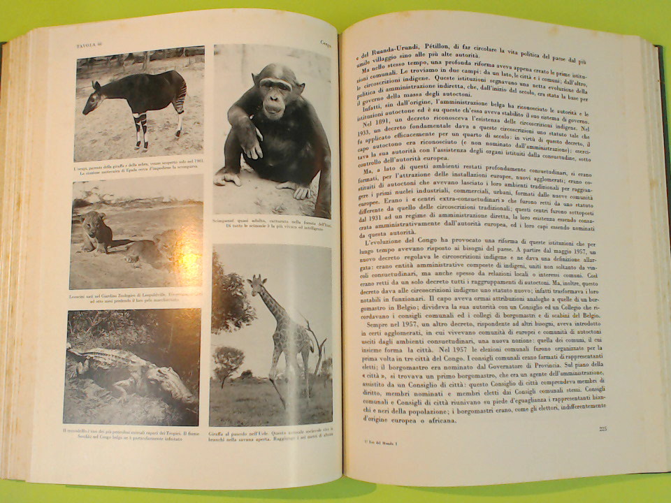 ECO DEL MONDO VOL I - immagine 4