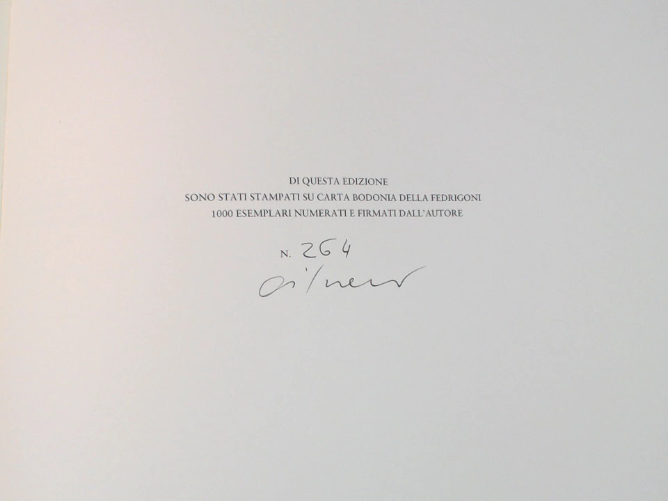 DAVANTI A TREZZA - immagine 5