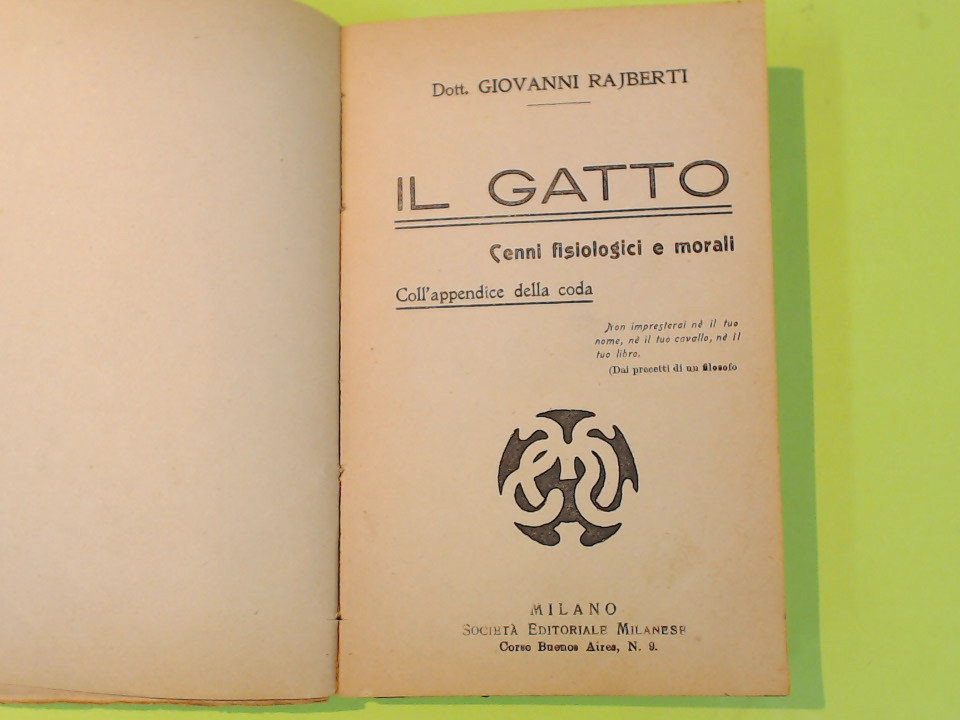 GIUSEPPE MUSOLINO + IL GATTO - immagine 5